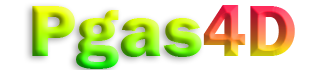 PGAS4D